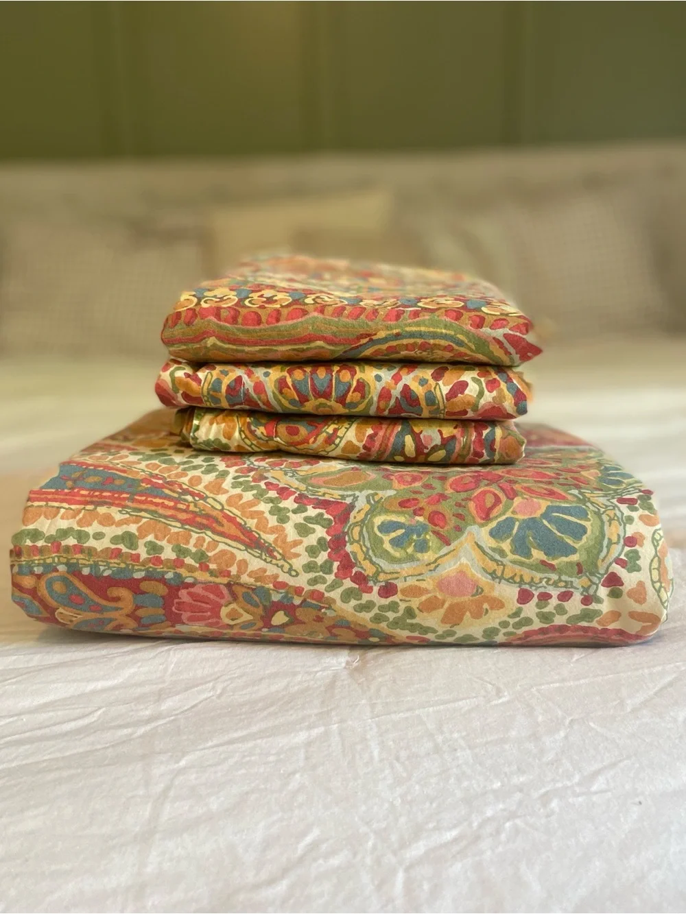 Pottery Barn Warm Paisley King Duvet + 3 Euro Shams